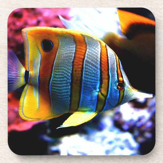 vis drankjes onderzetter (Voorkant)