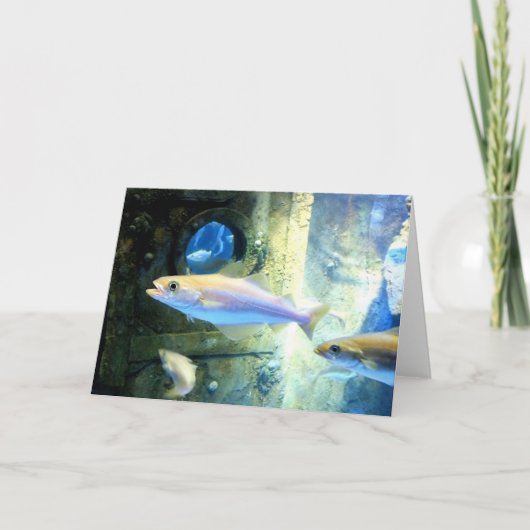 Vis en porthole feestdagen kaart (Voorkant)