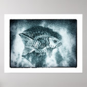 Vis- en waterwereld (Koi Fish) Poster (Voorkant)