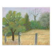 Vis en wilde dieren foto afdruk (Voorkant)