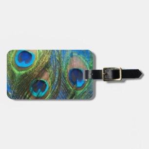 Vis Eye Peacock still Life Bagagelabel