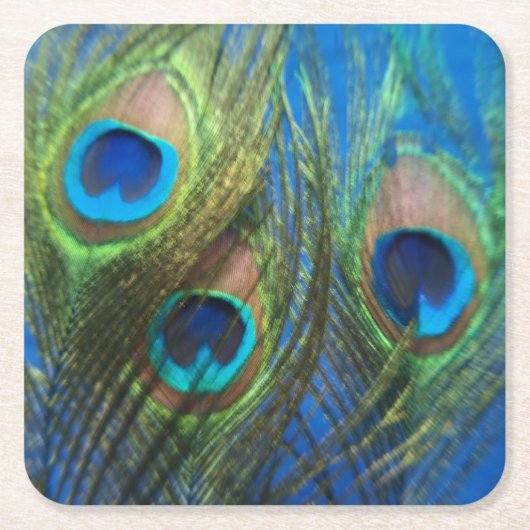 Vis Eye Peacock still Life Kartonnen Onderzetters (Voorkant)