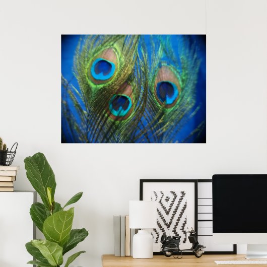 Vis Eye Peacock still Life Poster (Thuiskantoor)