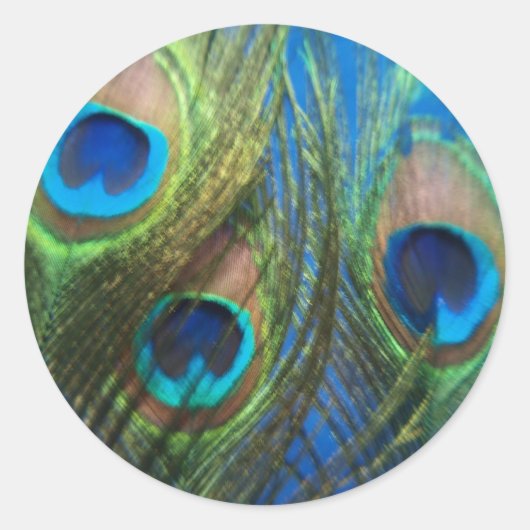 Vis Eye Peacock still Life Ronde Sticker (Voorkant)