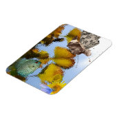 Vis & Faery Magnet Magneet (Linkerzijde)