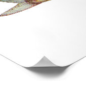 Vis - Garfish - Hyporhamphus intermedius Poster (Hoek)