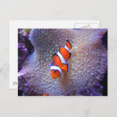 vis, gekloonde vis briefkaart (Voorkant / Achterkant)