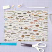 Vis Gevist verjaardagsfeestje Tissuepapier (Craft)