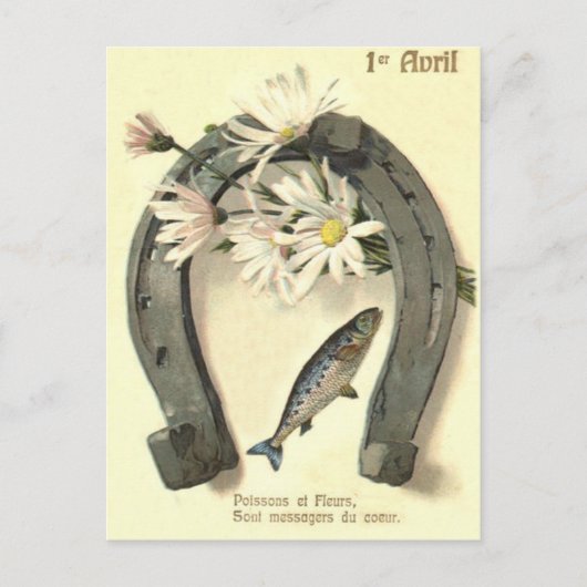Vis Hoefijzer Madeliefje Briefkaart (Voorkant)