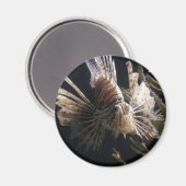 Vis in de diepte van de oceaan magneet (Voorkant / Achterkant)
