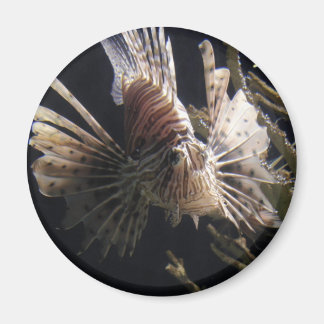 Vis in de diepte van de oceaan magneet