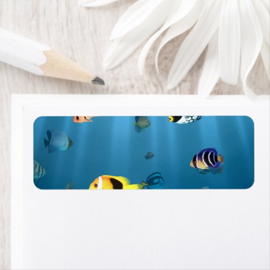 vis in de oceaan etiket (Insitu)