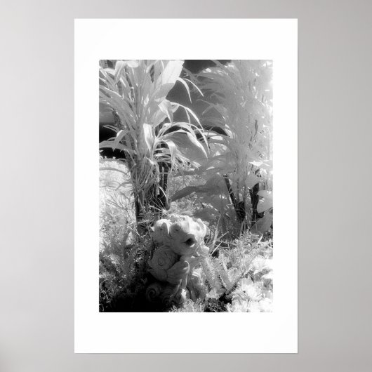 Vis in de tuin van Eden Poster (Voorkant)