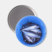 Vis in een Bucket Magneet (Voorkant / Achterkant)