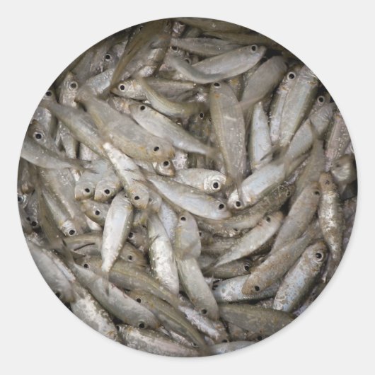 Vis in een Bucket Ronde Sticker (Voorkant)