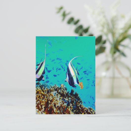 Vis in het Briefkaart Fiji Waters (Staand voorkant)