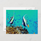 Vis in het Briefkaart Fiji Waters (Voorkant / Achterkant)