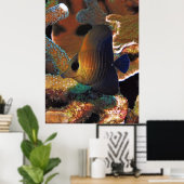 Vis in koraal poster (Thuiskantoor)