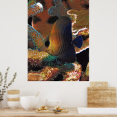 Vis in koraal poster (Keuken)