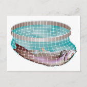 Vis in net briefkaart (Voorkant)