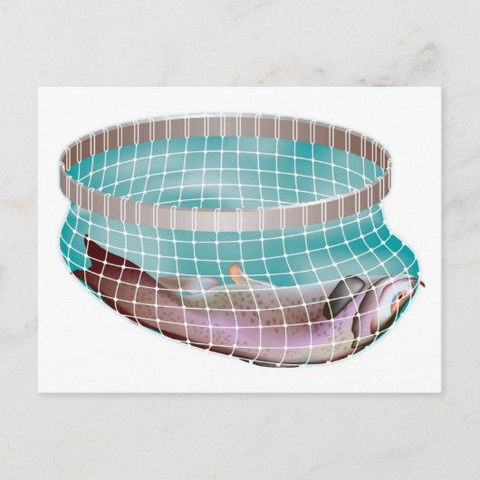 Vis in net briefkaart (Voorkant)