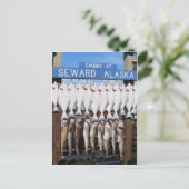 Vis in Seward, Alaska Briefkaart (Staand voorkant)