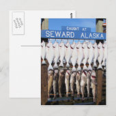Vis in Seward, Alaska Briefkaart (Voorkant / Achterkant)