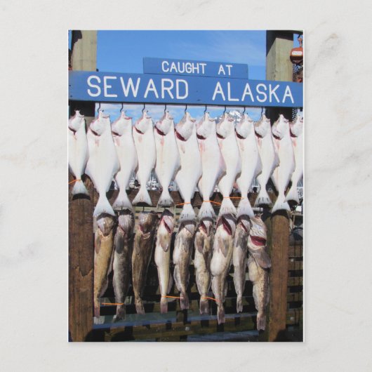 Vis in Seward, Alaska Briefkaart (Voorkant)