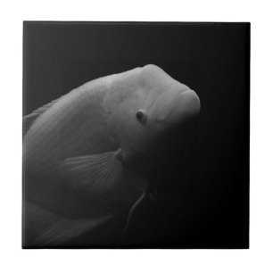 Vis in tank - foto van zwart-witkunst tegeltje