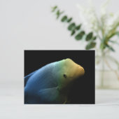 Vis in tank - Kunstfoto Briefkaart (Staand voorkant)