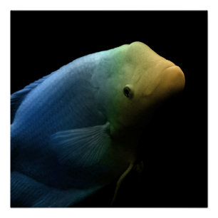 Vis in tank - Kunstfoto Perfect Poster