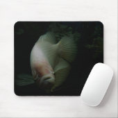 Vis in tank muismat (Met muis)