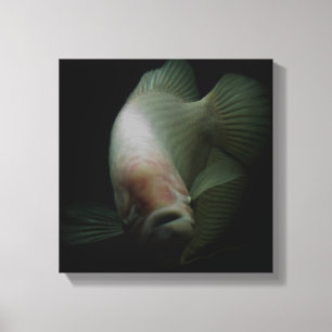 Vis in tankportret canvas afdruk