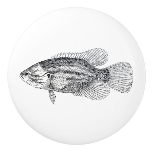 vis in zwart-wit keramische knop (Voorkant)