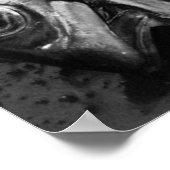 Vis in zwart-wit poster (Hoek)