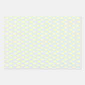 Vis Inpakpapier Plat Vel Set van 3 (Voorkant)