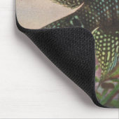 Vis - Jack Dempsey - Archocentrus octofasciatus Muismat (Hoek)