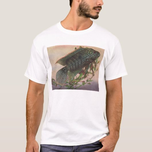 Vis - Jack Dempsey - Archocentrus octofasciatus T-shirt (Voorkant)