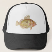 Vis - John Dory - Zeus faber Trucker Pet (Voorkant)