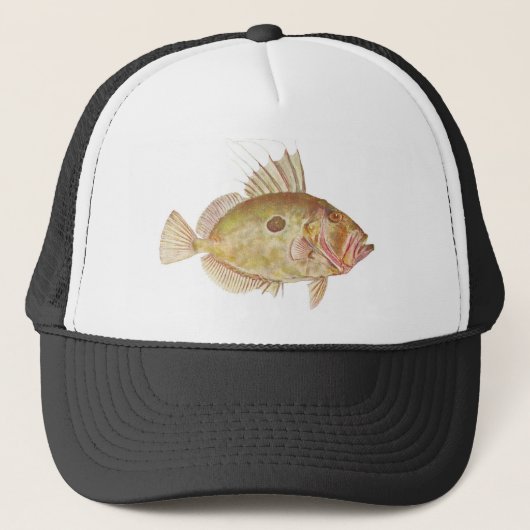 Vis - John Dory - Zeus faber Trucker Pet (Voorkant)