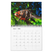 vis kalender (Mar 2026)