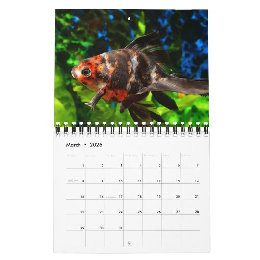 vis kalender (Mar 2026)