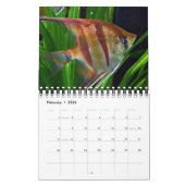 vis kalender (Feb 2026)