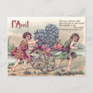 Vis Kar Vergeet-mij-nietje Rozen Briefkaart