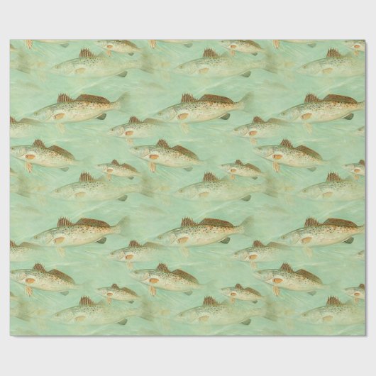 Vis  kleurillustratiepatroon cadeaupapier (Vlak)