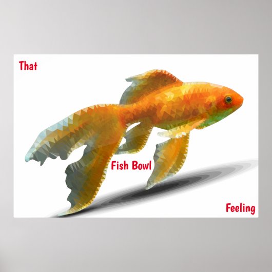 Vis Kom Feeling Poster (Voorkant)