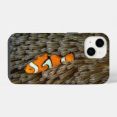 Vis, koraal, onderwater iPhone hoesje (Achterkant horizontaal)