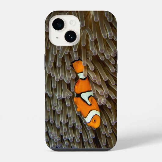 Vis, koraal, onderwater iPhone hoesje (Achterkant)