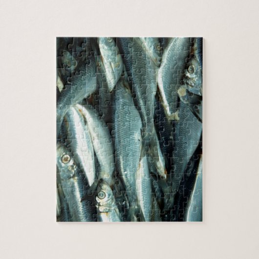 vis legpuzzel (Verticaal)