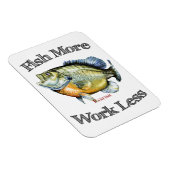 Vis meer panvissen werken minder magneet (Rechterzijde)